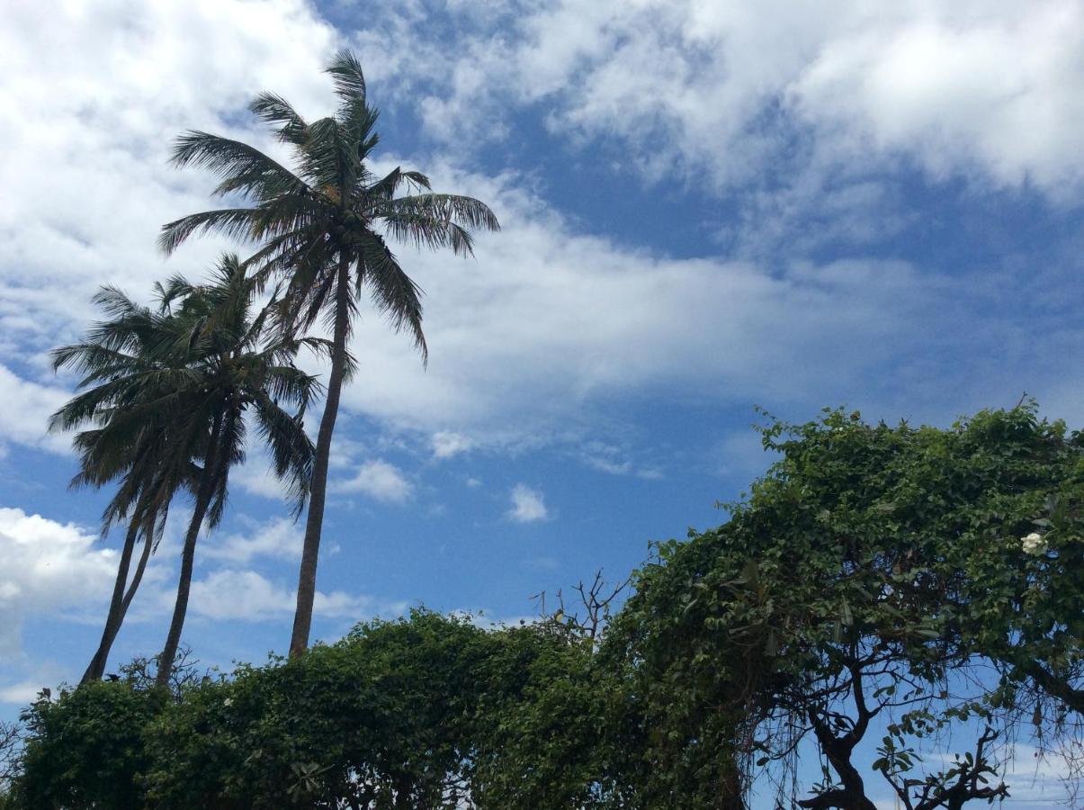New Rest House Sea View Hotel Negombo Exteriör bild